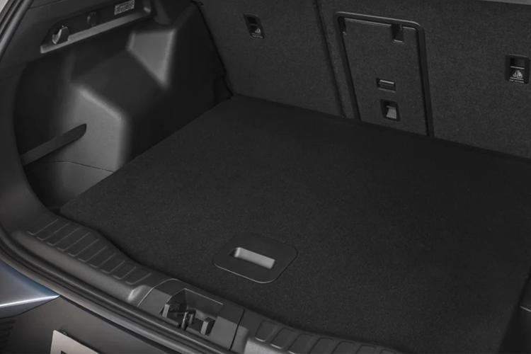 3455527 125kW Premium 52kWh 5dr Auto [Driver Assist Pack]